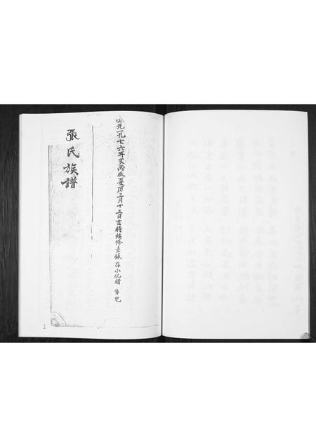 贵州张氏-贵州贵阳张氏族谱.pdf电子版插图4
