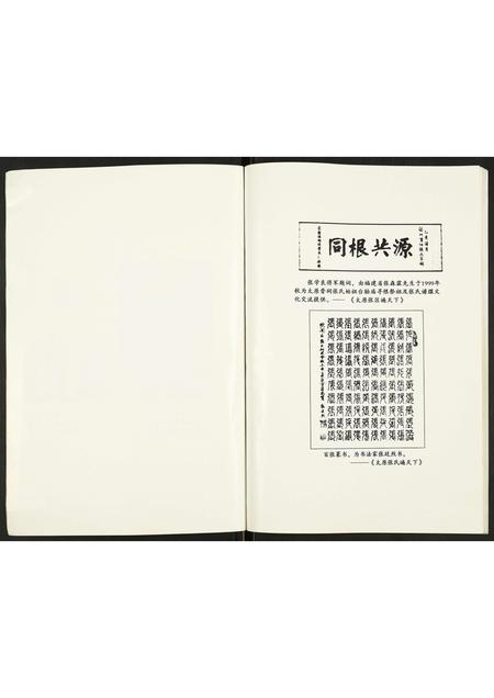 辽宁张氏-上涧张氏宗谱.pdf电子版插图3