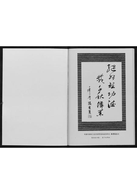 辽宁张氏-张府家族.pdf电子版插图1