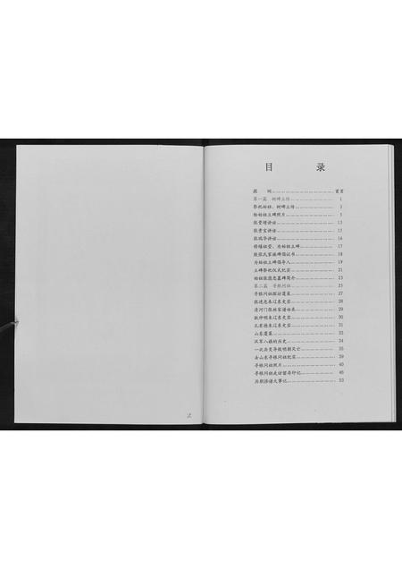辽宁张氏-张府家族.pdf电子版插图2