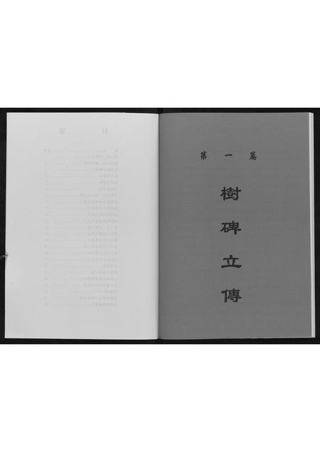 辽宁张氏-张府家族.pdf电子版插图3