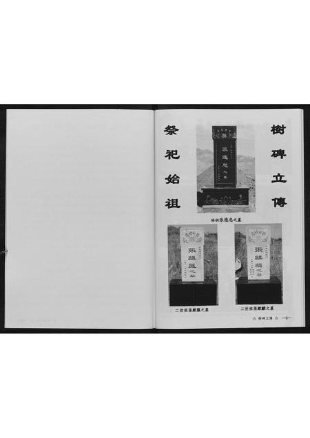 辽宁张氏-张府家族.pdf电子版插图5