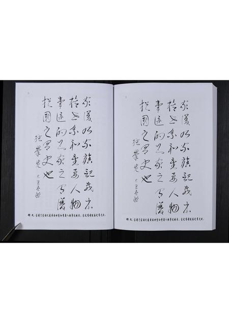 辽宁张氏-张氏家谱 [不分卷](别名：中国乌江山峡旅游文化丛书).pdf电子版插图4