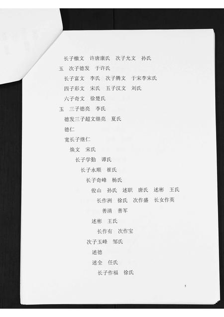 辽宁张氏-辽东张氏家谱族谱书.pdf电子版插图4