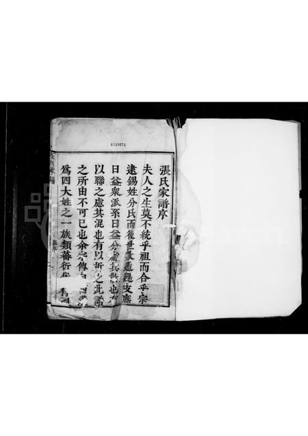 辽宁张氏-张氏家谱 [1卷].pdf电子版插图1