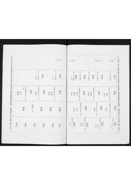 陜西张氏-宿松张氏仲四裔十修族谱续.pdf电子版插图4