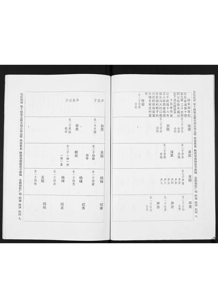陜西张氏-宿松张氏仲四裔十修族谱续.pdf电子版插图5