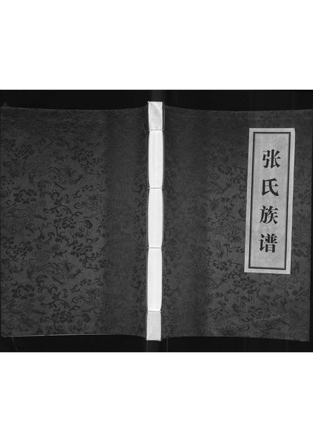 陜西张氏-张氏族谱(别名：张氏族谱首卷).pdf电子版插图