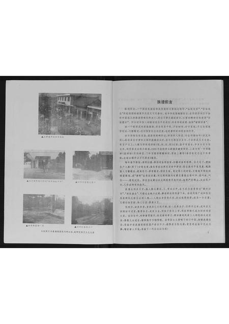 陜西张氏-田市张氏家族谱.pdf电子版插图1