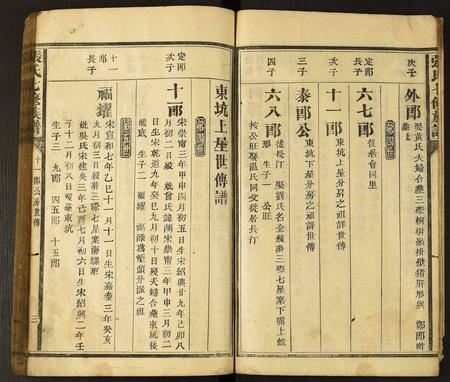 云南张氏-张氏七修族谱.pdf电子版插图4