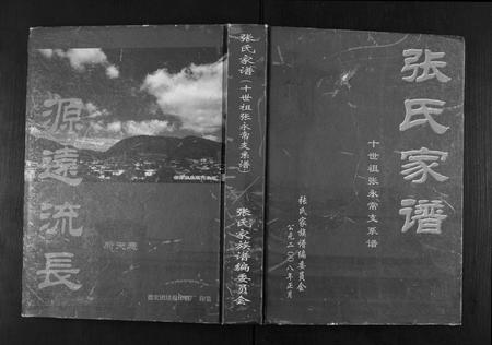 云南张氏-张氏家谱.pdf电子版插图