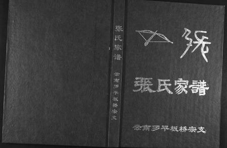 云南张氏-张氏家谱.云南罗平板桥宗支.pdf电子版插图