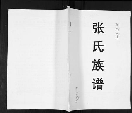 云南张氏-张氏族谱.pdf电子版插图