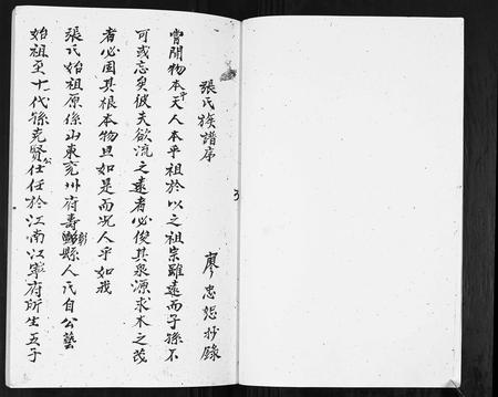 云南张氏-张氏族谱.pdf电子版插图3