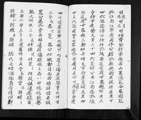 云南张氏-张氏族谱.pdf电子版插图4