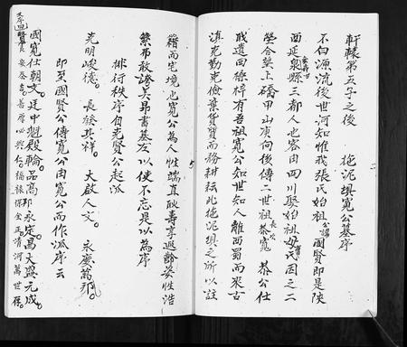 云南张氏-张氏族谱.pdf电子版插图5