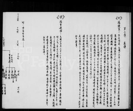 山东张氏曾氏-张氏族谱.pdf电子版插图5