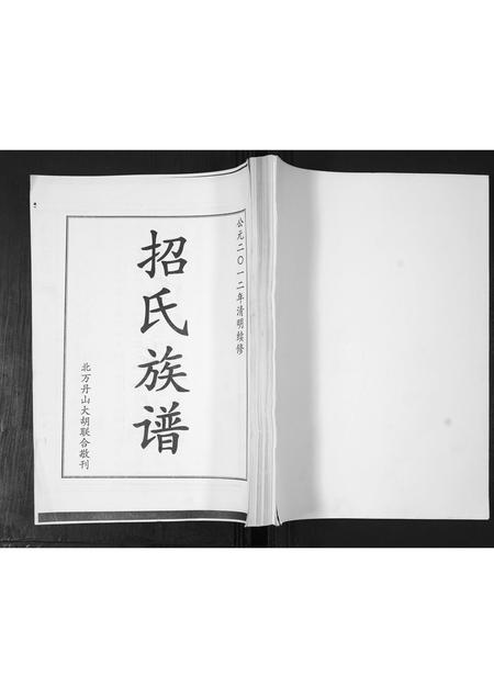 山东招氏-招氏族谱.pdf电子版插图