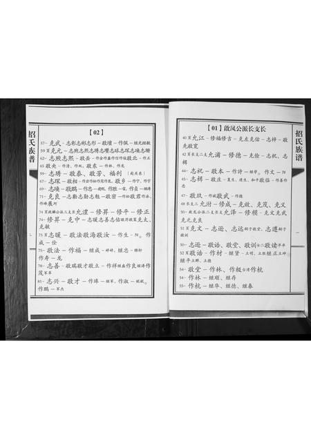 山东招氏-招氏族谱.pdf电子版插图2