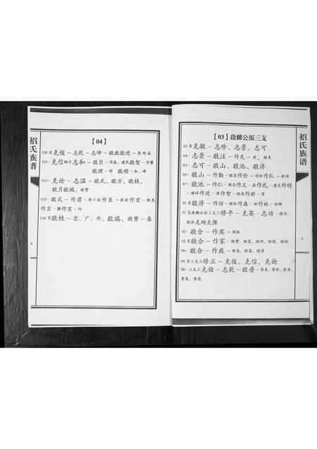 山东招氏-招氏族谱.pdf电子版插图3
