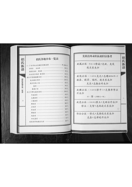 山东招氏-招氏族谱.pdf电子版插图5