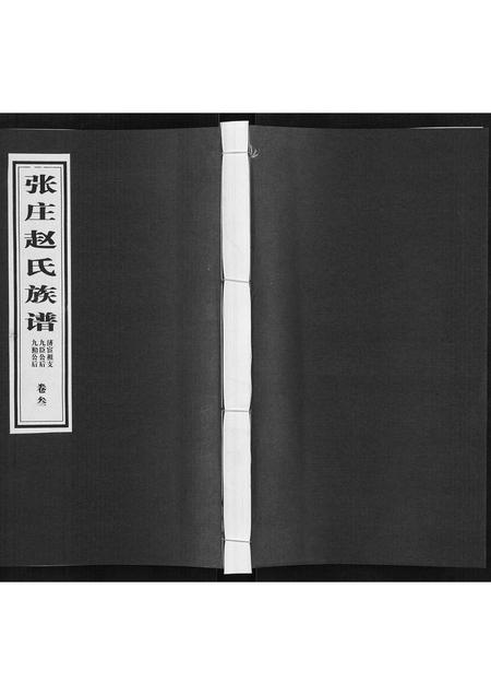 山东赵氏-赵氏族谱[3卷].pdf电子版插图