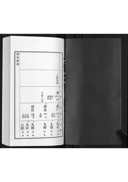 山东赵氏-赵氏族谱[3卷].pdf电子版插图1