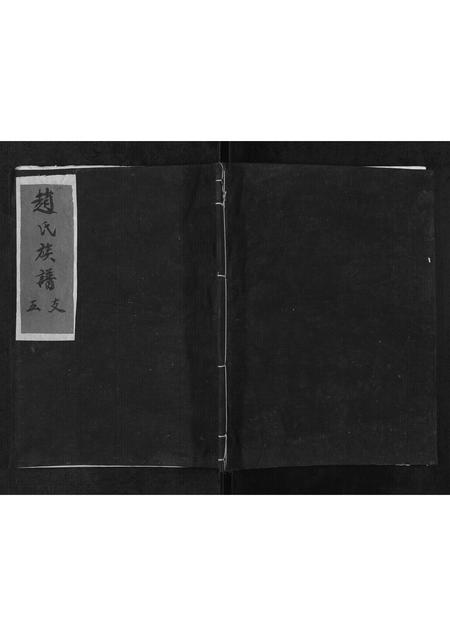 山东赵氏-赵氏族谱[5卷].pdf电子版插图