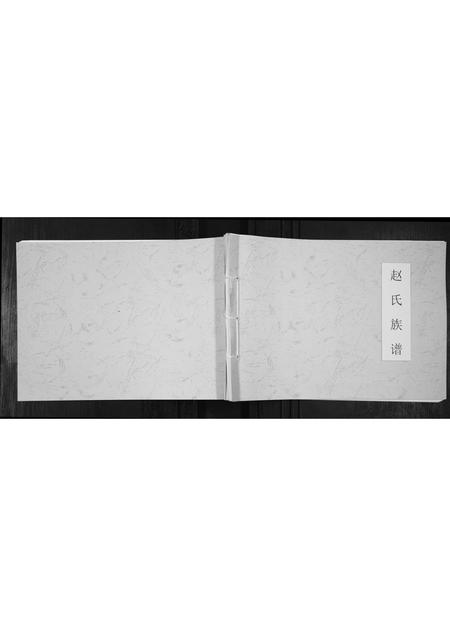 山东赵氏-赵氏族谱[不分卷].pdf电子版插图