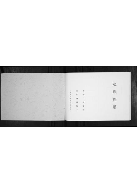 山东赵氏-赵氏族谱[不分卷].pdf电子版插图1