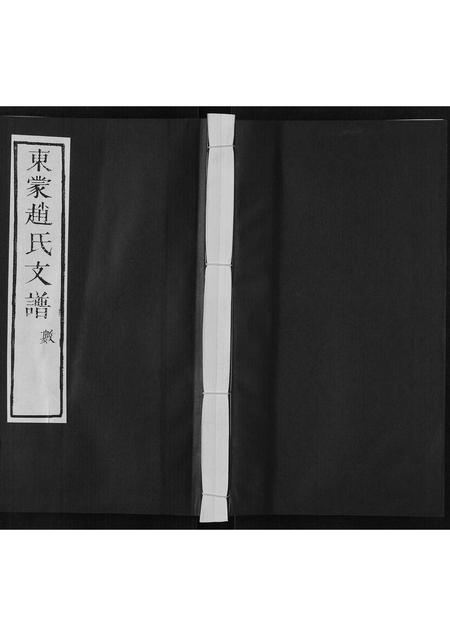 山东赵氏-东蒙赵氏支谱.pdf电子版插图