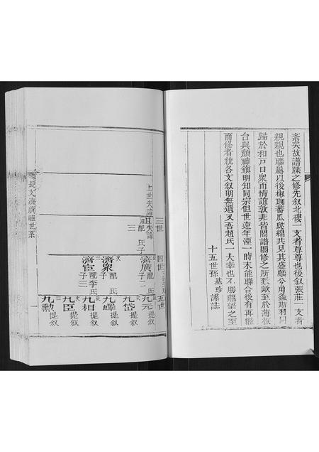山东赵氏-东蒙赵氏支谱.pdf电子版插图2