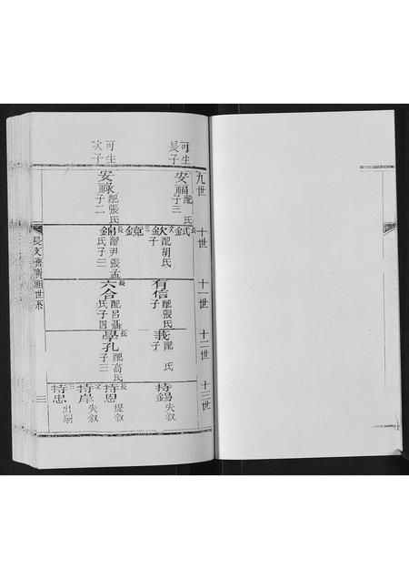 山东赵氏-东蒙赵氏支谱.pdf电子版插图4