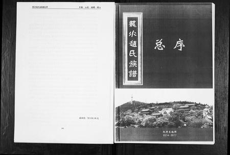 山东赵氏-笼水赵氏族谱[不分卷].pdf电子版插图