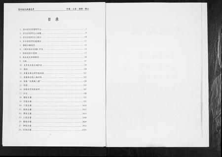 山东赵氏-笼水赵氏族谱[不分卷].pdf电子版插图2