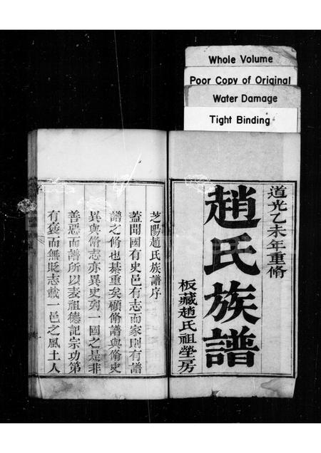 山东赵氏-芝阳赵氏族谱 [4卷].pdf电子版插图1