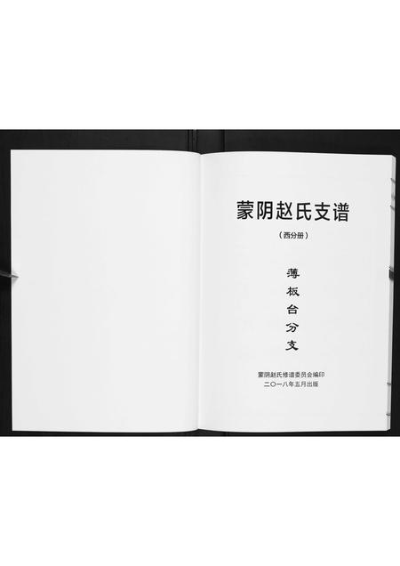 山东赵氏-蒙阴赵氏支谱.pdf电子版插图1