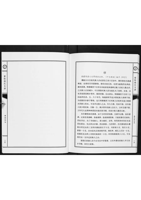 山东赵氏-蒙阴赵氏支谱.pdf电子版插图4