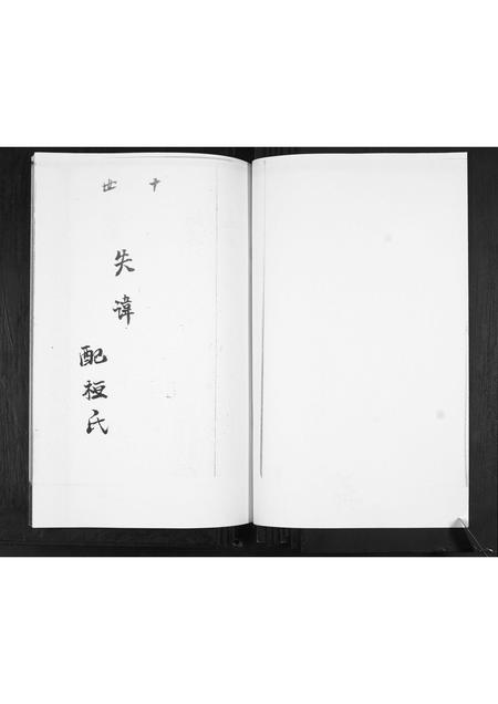 山东赵氏-赵家谱书.pdf电子版插图2