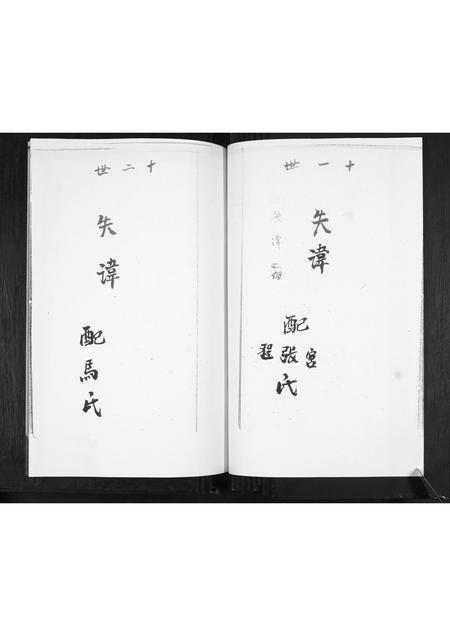 山东赵氏-赵家谱书.pdf电子版插图3
