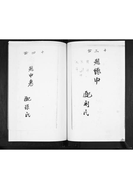 山东赵氏-赵家谱书.pdf电子版插图4