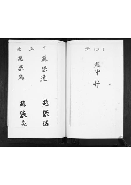 山东赵氏-赵家谱书.pdf电子版插图5