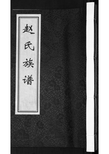 山东赵氏-赵氏族谱.pdf电子版插图