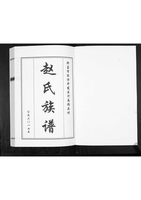 山东赵氏-赵氏族谱.pdf电子版插图1