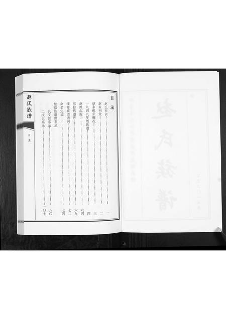 山东赵氏-赵氏族谱.pdf电子版插图2