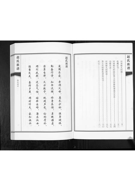 山东赵氏-赵氏族谱.pdf电子版插图3