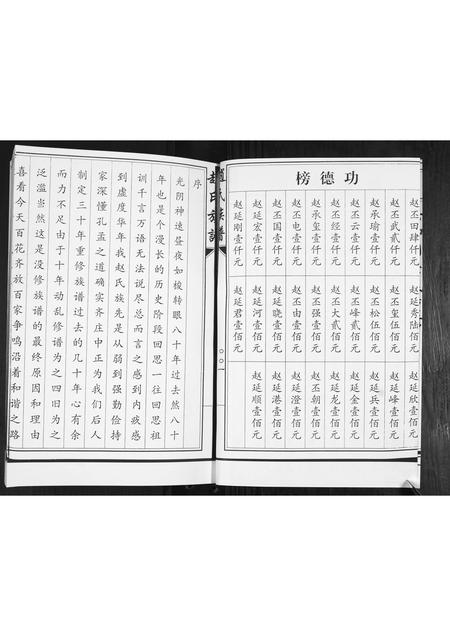 山东赵氏-赵氏族谱.pdf电子版插图2