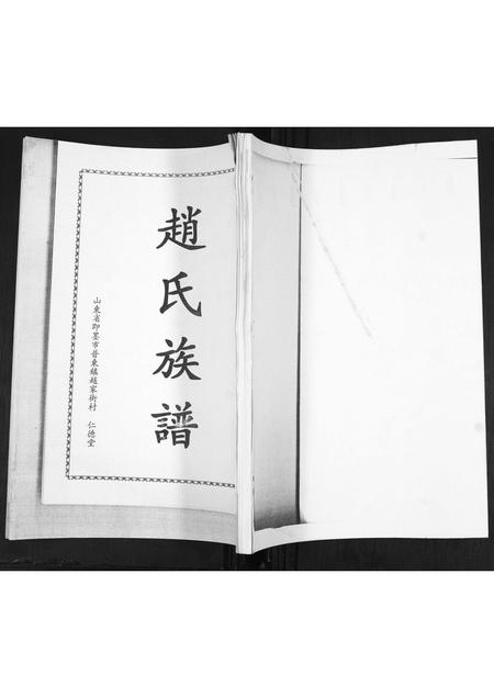 山东赵氏-赵氏族谱.pdf电子版插图