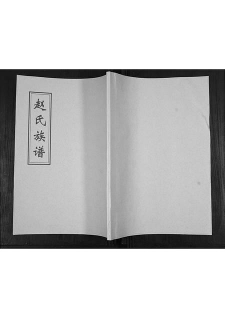山东赵氏-赵氏族谱.pdf电子版插图