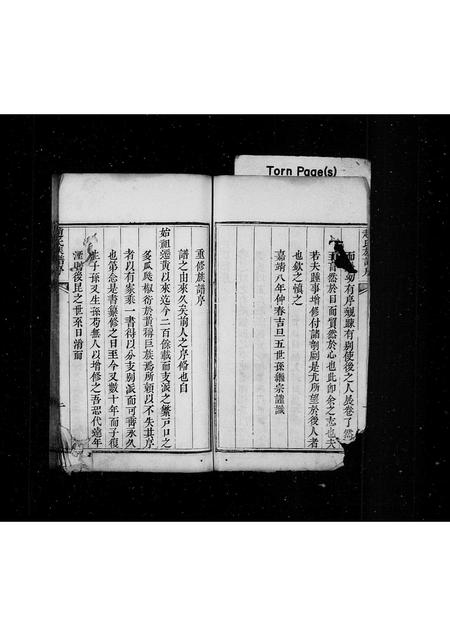 山东赵氏-赵氏族谱(别名：芝阳赵氏族谱).pdf电子版插图2